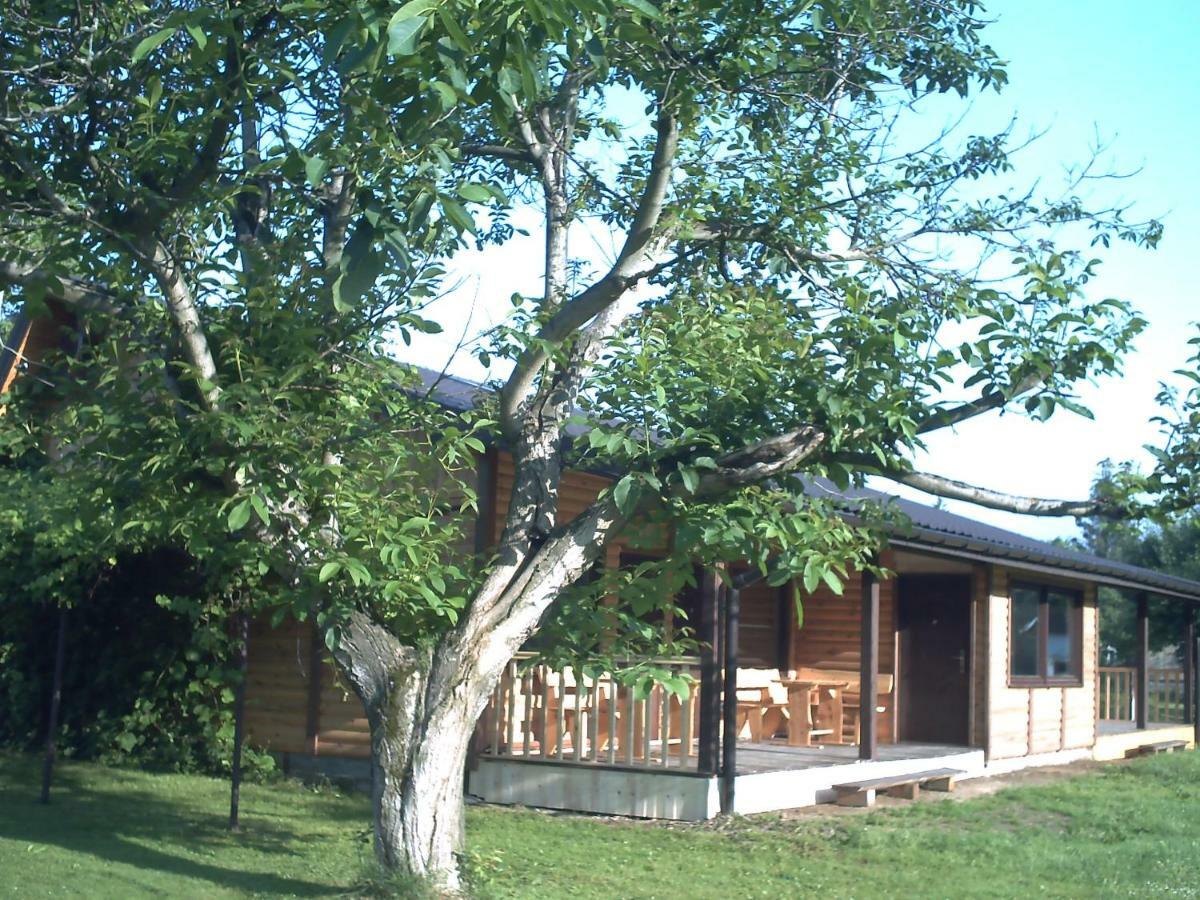 Pod Orzechem Villa Sanok Exterior photo